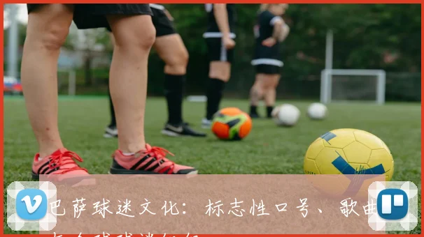 巴萨球迷文化：标志性口号、歌曲与全球球迷组织
